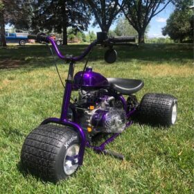 Blue Mini Trike (Platinum 2024 Edition)