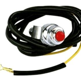 Mini-Trike Kill Switch