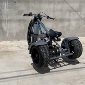 THE GRAY colour 2025 edition