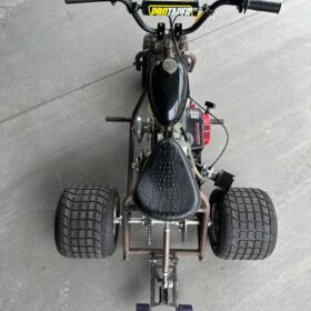 THE MINI TRIKE 2025 special edition