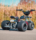 THE Platinum 2025 special edition