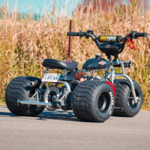 THE Platinum 2025 special edition