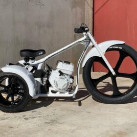 THE WHITE AND BLACK 2025 Special Edition